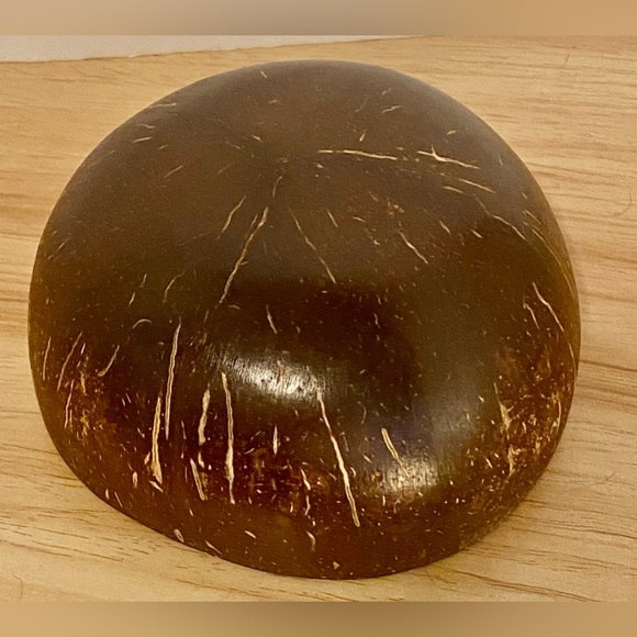 Handcrafted Artisan Coconut Bowl | Hand Painted Jasmine Tree - Picture 6 of 11